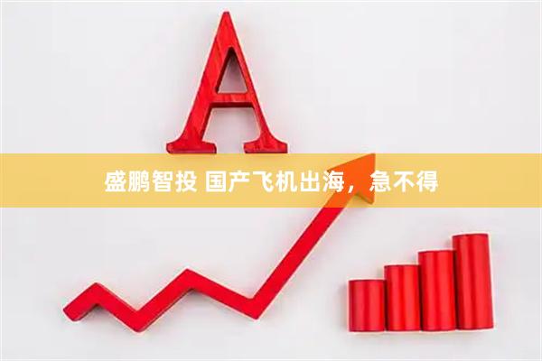 盛鹏智投 国产飞机出海，急不得