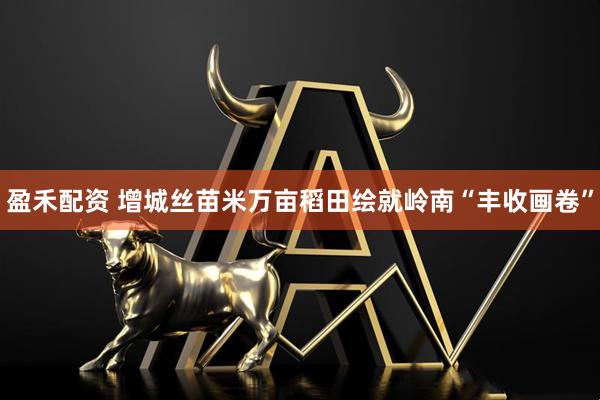 盈禾配资 增城丝苗米万亩稻田绘就岭南“丰收画卷”
