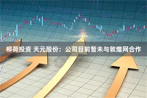柳荷投资 天元股份：公司目前暂未与敦煌网合作