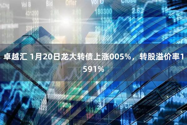 卓越汇 1月20日龙大转债上涨005%，转股溢价率1591%