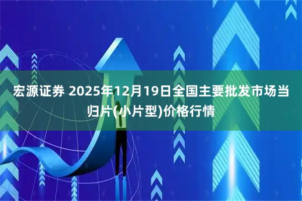 宏源证券 2025年12月19日全国主要批发市场当归片(小片型)价格行情