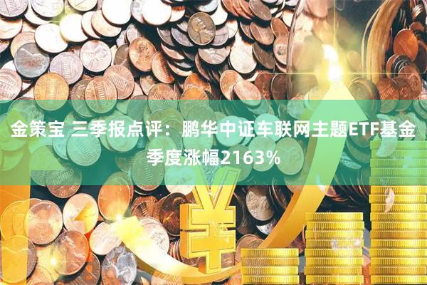 金策宝 三季报点评:鹏华中证车联网主题ETF基金季度涨幅2163%
